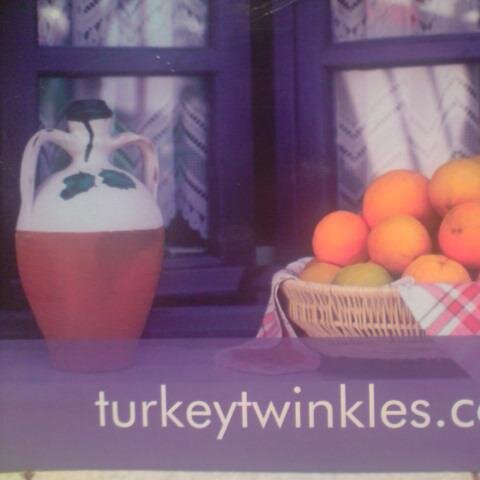 Turkey property specialists.  Est. 2004
