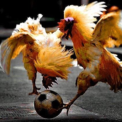 ...If football club is too perfect they won't look good. Imperfection is important...