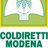 coldirettimo's profile image