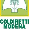 coldirettimo's profile picture. La forza amica del Paese