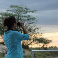 Lisa Shusko (@lshusko) Twitter profile photo