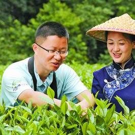 guizhou high plateau tea ,which is far from guizhou province, southwest of china.unique karst landform,unique subtropical humid monsoon climate Creats uniquetea