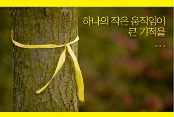 yoonrhee's profile picture. 