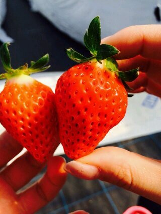 montiti_Ti's profile picture. 2025.11月からFind me!受講開始。転勤族の夫について行く一児の母。毎度の転勤先での仕事探しに疲れて在宅ワークでの仕事獲得のため勉強してます！