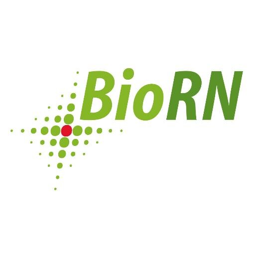 Biotech-Cluster - BioRN in Heidelberg - Europas Hot Spot für Personalisierte Medizin und Krebsforschung - Wir verbinden Wissenschaft und Wirtschaft
