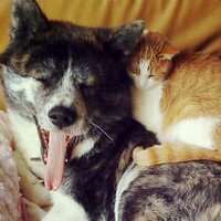 百世 渡 (@wataru_k111) 's Twitter Profile Photo