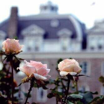 @i_pero ايمي تحبك.