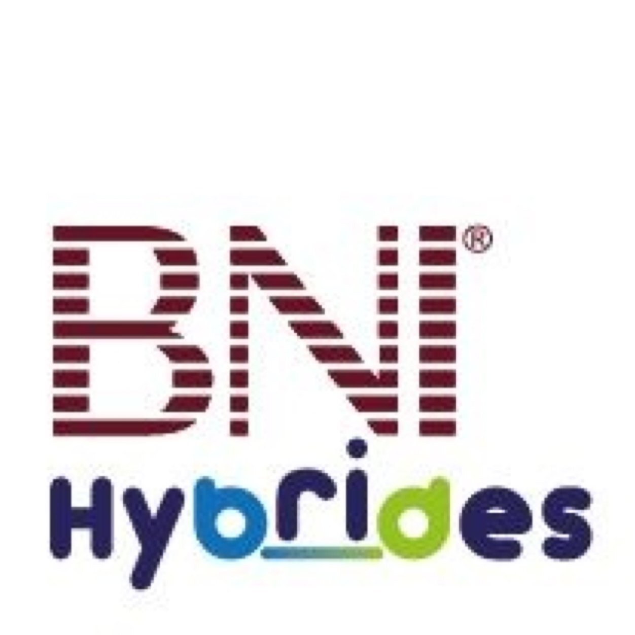 BNI lunchchapter. #Den Haag | Ondernemers die elkaar helpen groeien | Gunnen | vrijdag 12:00 uur @ vd Valk Nootdorp | Informele sfeer Kom langs!