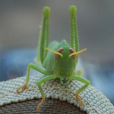 Running https://t.co/yifJ9wT423.