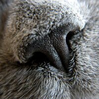 Phillip Fayers (@phillipfayers) 's Twitter Profile Photo