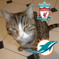 Mad keen Liverpool and Dolphins fan. Father of 2, husband of just 1!