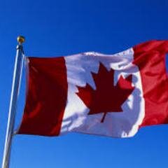 busquefr's profile picture. 