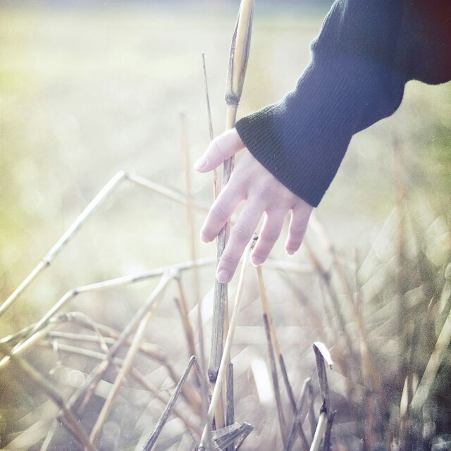 aelinne's profile picture. 