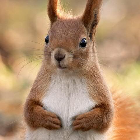 gleb_fedoseev's profile picture. Бета-самец. Доброе утро. Мое любимое слово - дебаркадер.