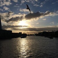 Sunny London Days(@SunnyLondonDays) 's Twitter Profile Photo