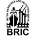 BRIC Blyth (@bricblyth) Twitter profile photo