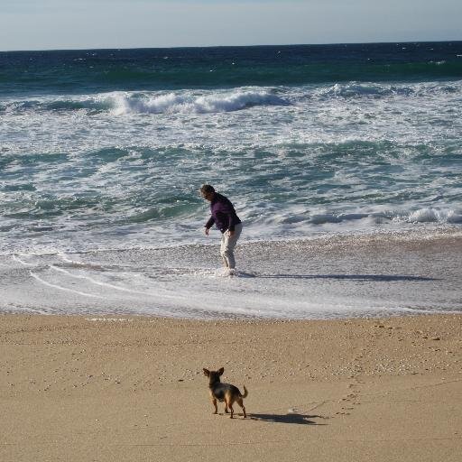 ElsDouma's profile picture. Moeder van 5, oma van 4, getrouwd met Kees, samen eigenaar Marenland Recreatie in Winsum.