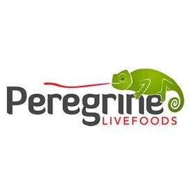 We are the largest wholesaler of reptile products in the UK. Follow us for the latest product information, news and reptile gossip.