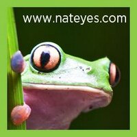 Nature's Eyes(@NateyesPhoto) 's Twitter Profile Photo
