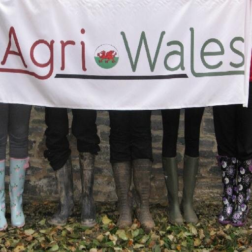 #News, #Market Results and #Suppliers supporting #Welsh #Farming. Diolch am ddilyn ni.