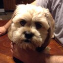 Dawn Ring - @DasrDawn - Twitter