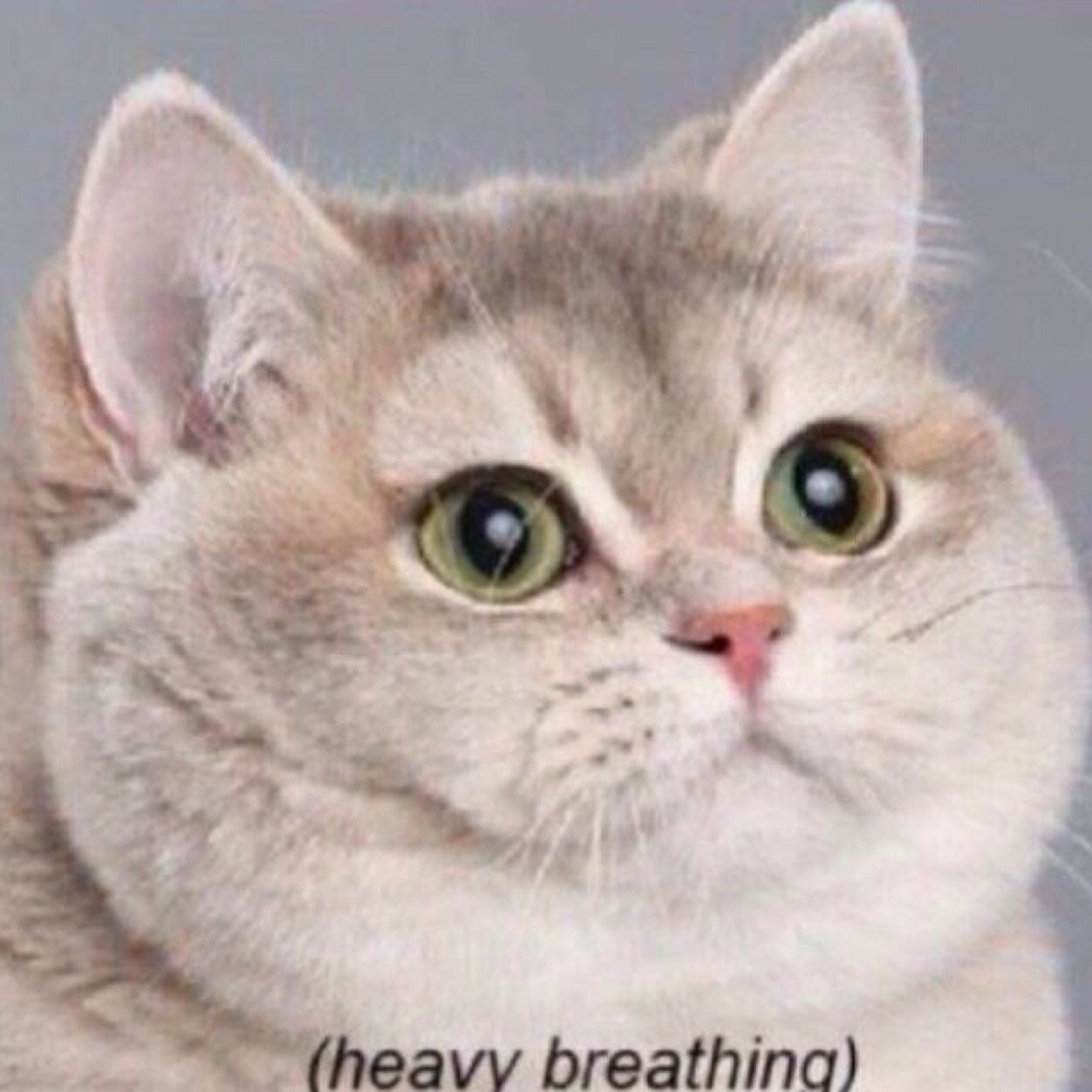 vjizzle's profile picture. 