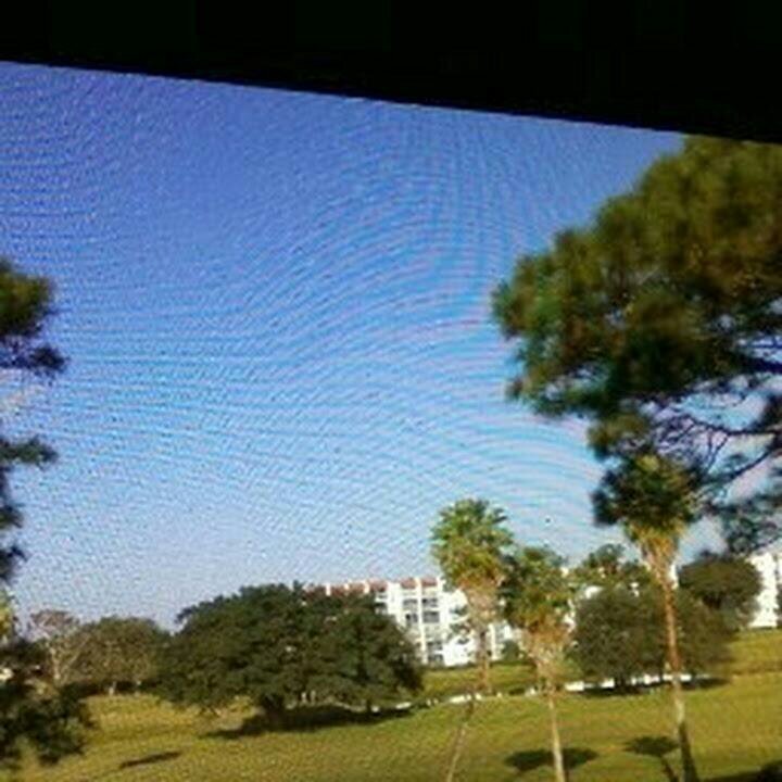 omnicat123's profile picture. 