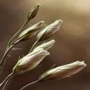 ismi_ku's profile picture. #balada_nusa

di Nusa kutanamkan kejujuran bahwa daku cinta kepda dikau