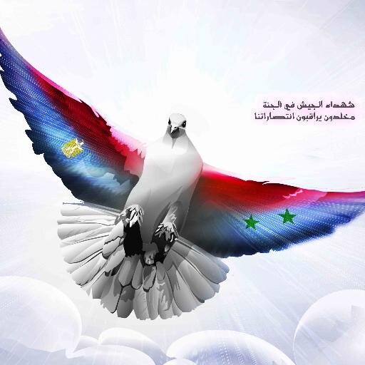 salam_news's profile picture. احدث فيديوهات تطورات الاحداث في سورية و مصر و الدول العربية والاسلامية والعالم لحظة بلحظة