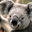 Marlene Squires - @LudingtonNurse - Twitter