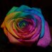 West Dorset EIP (@westdorseteip) Twitter profile photo