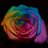 WestDorsetEIP retweeted this