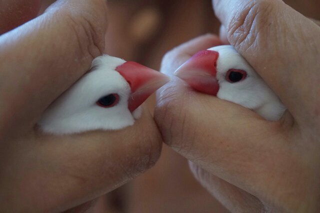 Ukm39's profile picture. 