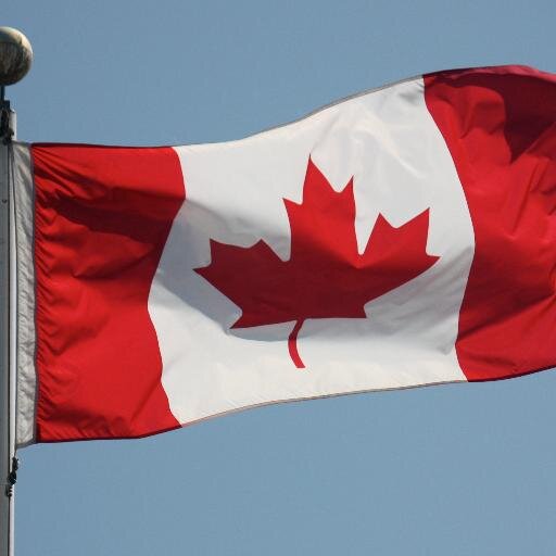 CMFFPBCI's profile picture. 