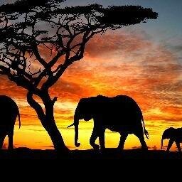 Fascinante, engraçado, profundo e incríveis fotos de lugares, pessoas, animais e natureza. Nós não reivindicamos direitos sobre as imagens.