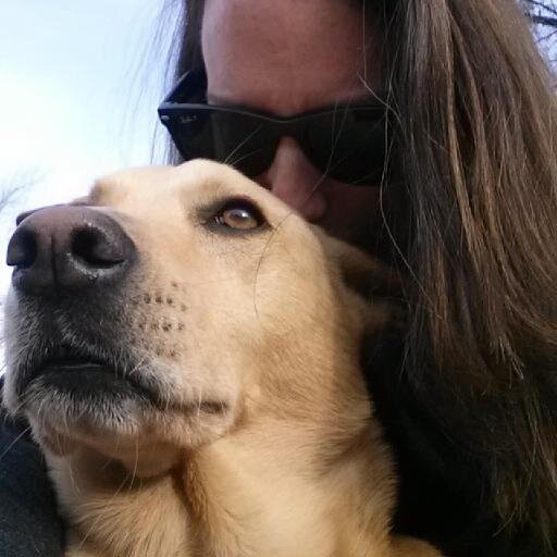I'm mostly here for the dogs. 🐾