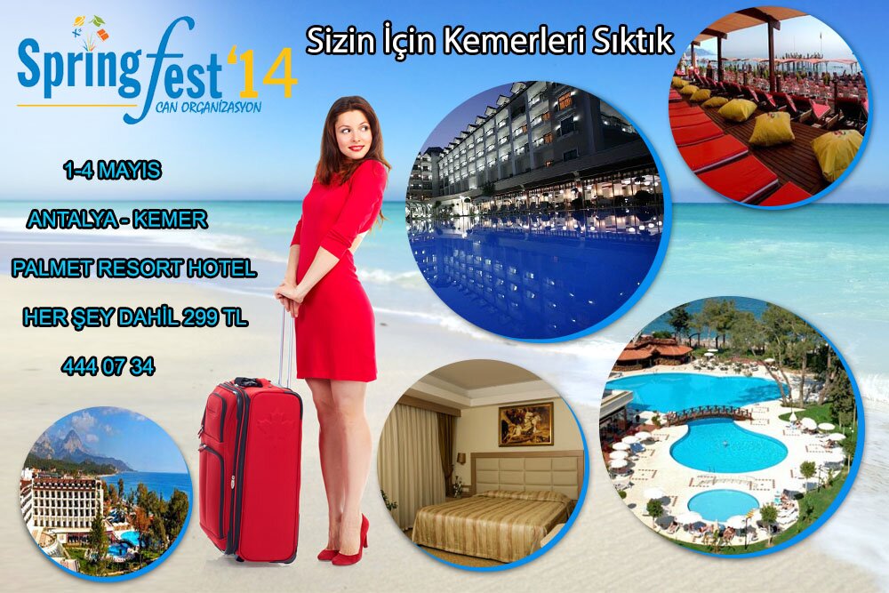 SpringFest141's profile picture. 