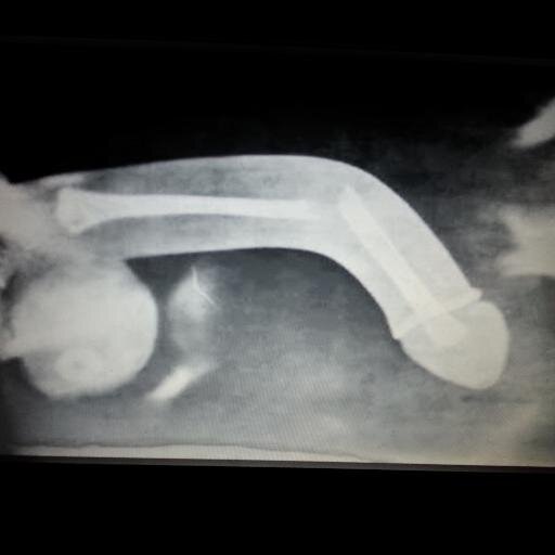 Ric176511232's profile picture. 