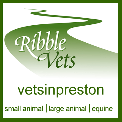 We are a busy mixed practice providing veterinary services to companion animals, farm animals and equines. We have surgeries in Penwortham, Longton and Wesham