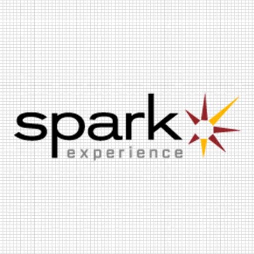 SPARK Experience is a creative agency powered by science.