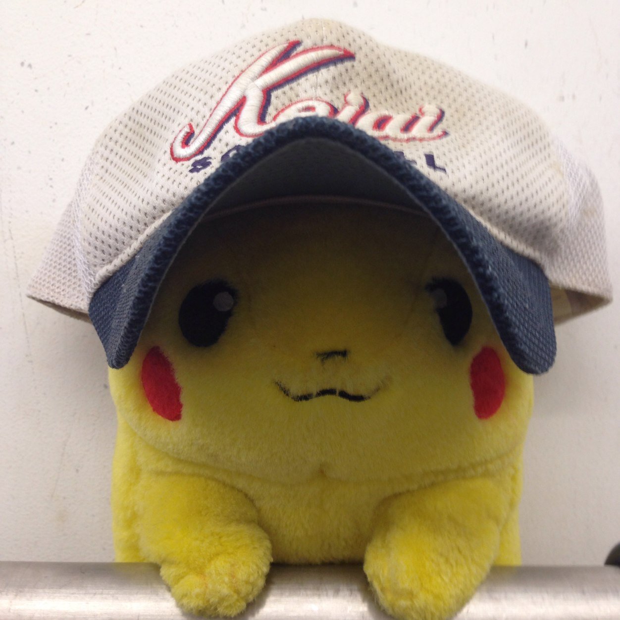 ユーカリが丘