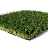 Grass Next Day (@grassnextday) 's Twitter Profile