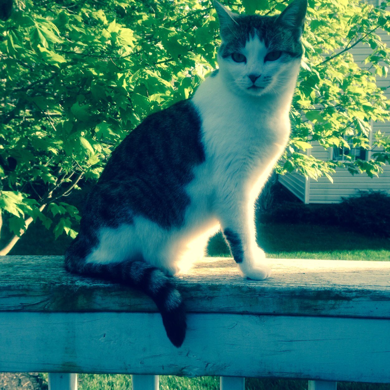 bwaller62's profile picture. 