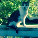 Barry Waller - @bwaller62 - Twitter