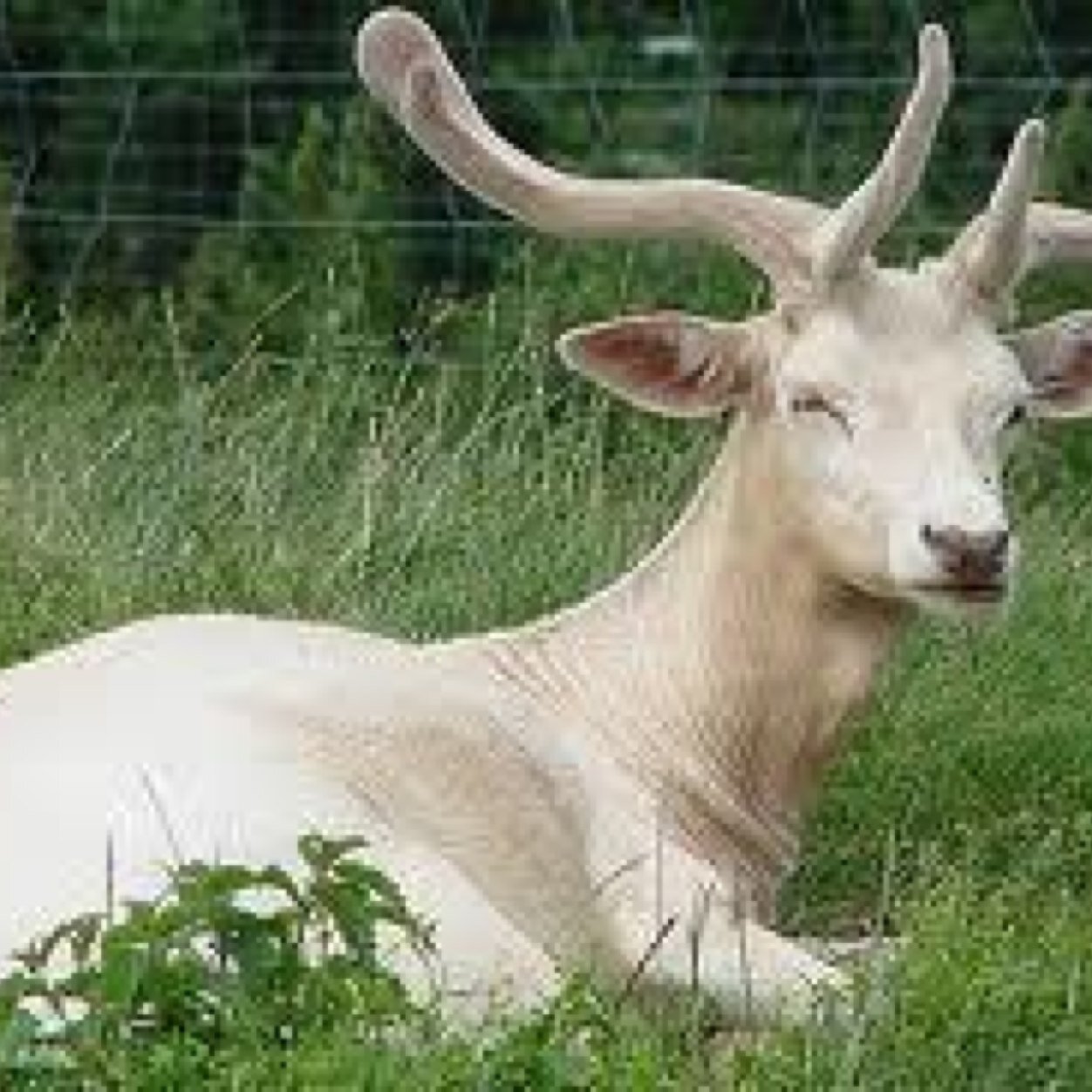 micaiah44's profile picture. Something bew and inproved coming.