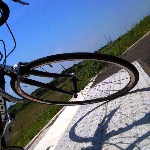 ゲームとかガジェットとか自転車とか色々興味あります 飯テロするのもされるのも大好きです /スト6など格ゲー垢: @poporonics_jp