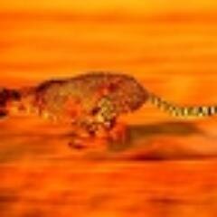RunnerBliss's profile picture. #runnerbliss chasing my ASICS to places where art, science & fascinating people connect.Sound mind sound body. Wireless Health Fitness Food Running Skiing Style