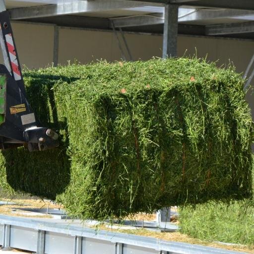 #AgriCompact #haydryers 🍃🔝#hay = 🔝#dairy #cow #goat #sheep = 🔝#milk = 🔝#cheese ! #dryhay 🍃#horse #pets 🍃https://t.co/vhHEnChzjm 🍃