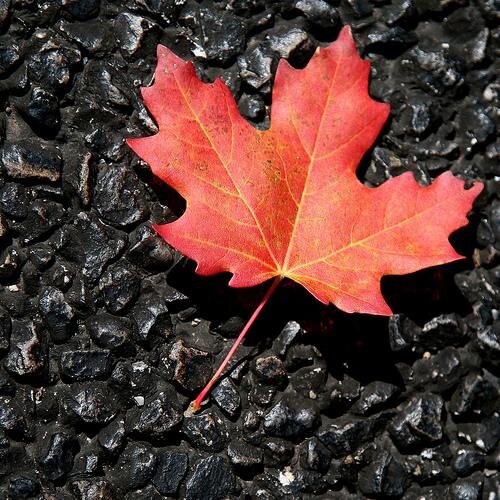 Economista. #Trading commodity spreads. Interested in #forex and #stocks. Blogger: https://t.co/WB5lN2TBrk