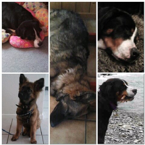 KunzNinaKunz's profile picture. 